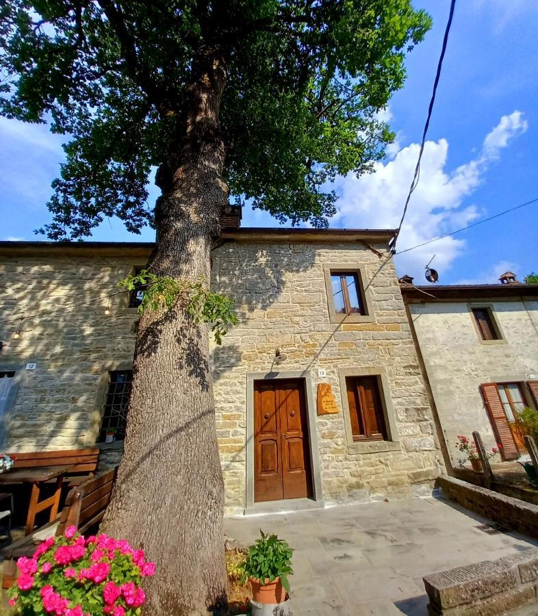 Casina La Quercia Apartment Santa Sofia Exterior foto