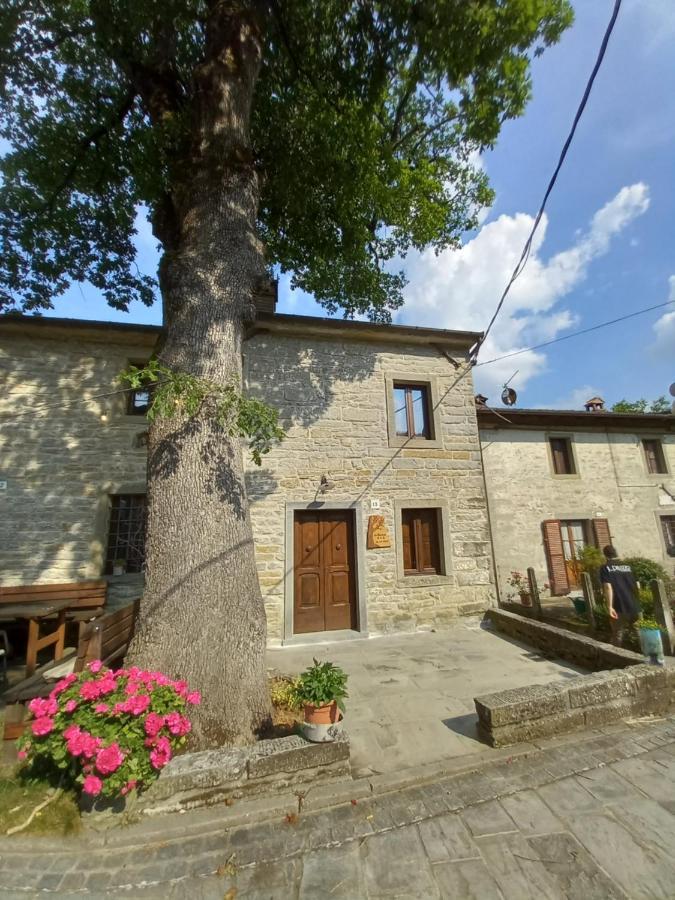 Casina La Quercia Apartment Santa Sofia Exterior foto