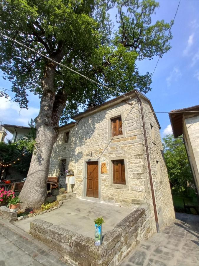 Casina La Quercia Apartment Santa Sofia Exterior foto